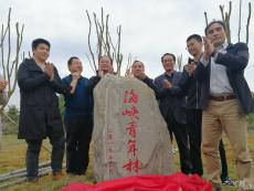 两岸青年共植“海峡青年林”