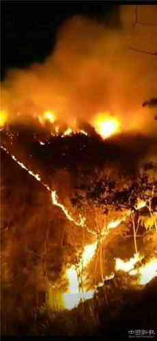 湖北通城发生山火致一名救火人员牺牲  起火原因正在调查