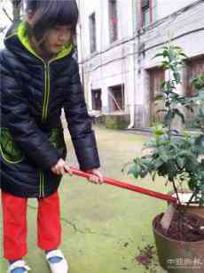 沅江共华小学开展“把荒坡占领 拥抱绿色家园”的植树活动