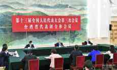 汪洋参加台湾代表团审议：坚持“和平统一、一国两制”