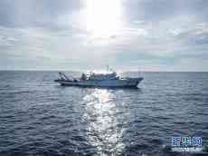 中国科研人员在南海记录到抹香鲸等11个鲸类物种
