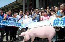 国民党发动“公投”禁止美国瘦肉精猪肉进口