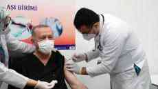 土耳其总统接种中国新冠疫苗