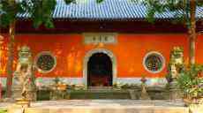 国清寺赏隋梅