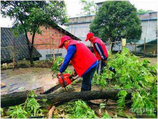 新宁县巡田乡长铺村：志愿者化身风雨后的“清障人”
