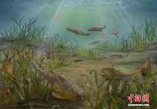重庆发现距今约4.23亿年前新属种[组图]