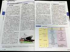 朱凤莲批日本“白皮书”向“台独”释放错误信号