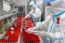 郑州：走进日检200多万人份的核酸检测实验室