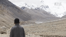 西藏故事丨珠峰下的生态守护者