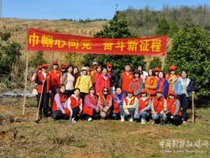 常宁市林业局开展庆祝“三八”妇女节义务植树活动