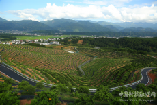 崀山“橙道”：富了百姓  乐了游客