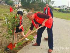 武冈湾头桥镇龙泉村：志愿同行 为美丽院落添新绿