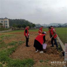 武冈市农业农村局驻村工作队组织群众建设幸福美丽院落