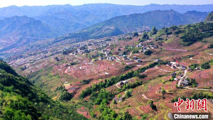 万亩梯田春耕忙。　刘书利 摄