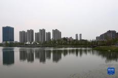 上海：社区疫情扩散得到有效遏制 两区首日达到清零目标
