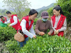 安徽休宁月潭湖镇：美丽乡村 振兴有我