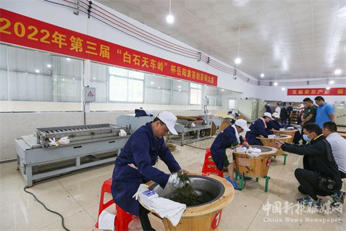 岳阳市第三届黄茶制茶师大赛在白石茶园开幕