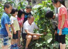 隆回县金石桥镇中心小学开展暑假学农活动