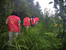 湖南隆回：踏遍青山写忠诚，守护森林保平安