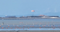 韩国F-4战机坠海 飞行员跳伞画面曝光