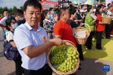 让更多农民凭技能丰收致富