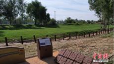 2200多年历史冀州汉代古城墙保养维护完成