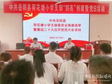 湖南岳阳县荷花塘小学党支部举行选举换届大会
