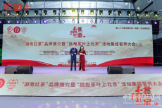第二十三届中国中部（湖南）农博会隆重开幕
