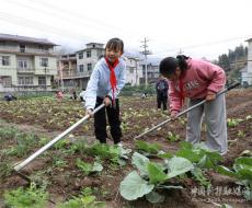 校园小农场     快乐伴成长
