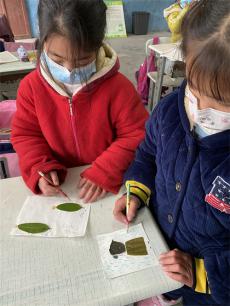 “双减”在行动—华溪小学开展树叶手工制作活动