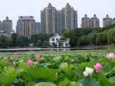 合肥王建沟中游生态修复工程开工