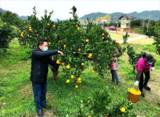 钟剑：把窑市村打造成崀山的后花园