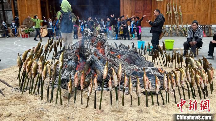 苗族民族在火堆旁烤鱼作为百家宴菜品。　梁强 摄