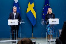 土耳其：瑞典、芬兰未满足土方所提“入约”条件