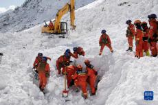 西藏林芝派墨公路雪崩现场搜救工作基本结束