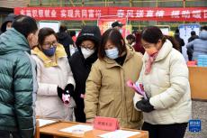 青岛：农村大集旁的招聘会