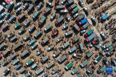 贵州威宁：牛市供销两旺