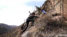 “不留一寸荒山”——陕西宜川“悬崖造林队”种树记