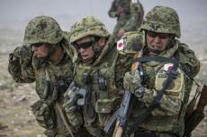 日媒：日政府将出台“支援外国军队”制度
