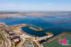 乘坐“公交”赏荷花 白洋淀“水上巴士”即将运营