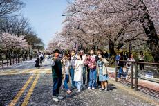 韩国首尔13万年轻人宅家
