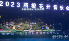 文化盛宴——2023“脐橙花开音乐会”在湖南新宁举行