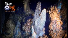 第54个世界地球日：探秘深海