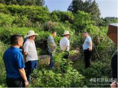 湖南攸县宁家坪镇：用好调研法宝，保障农业生产