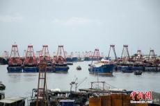 伏季休渔在即 广西北海大量渔船已提前回港
