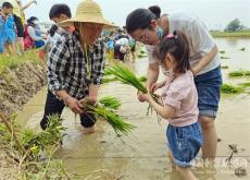 安徽庐江：争当“小农人” 催热研学游
