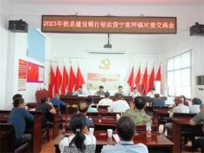 湖南攸县宁家坪镇:政府搭台谋振兴  金融助力促发展