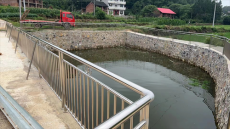 新邵县陈家坊镇：狠抓生态环保 助力乡村振兴
