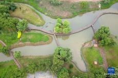 甘肃兰州：银滩湿地美