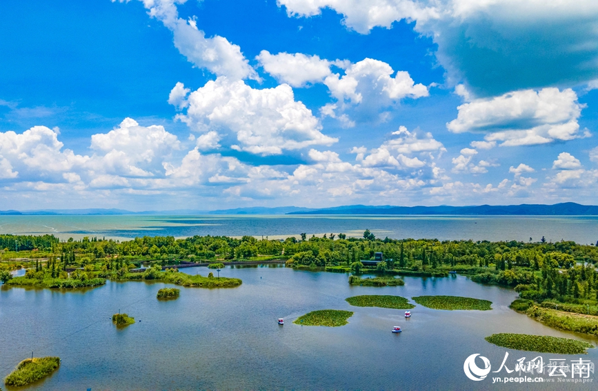 图为斗南湿地公园。人民网记者 虎遵会摄
